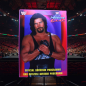 Preview: WWF Souvenir Programme In High Gear Tour 1995